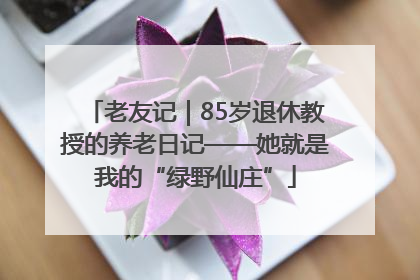 老友记｜85岁退休教授的养老日记——她就是我的“绿野仙庄”