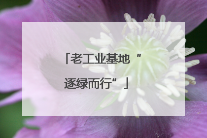 老工业基地“逐绿而行”