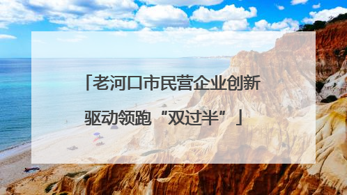 老河口市民营企业创新驱动领跑“双过半”