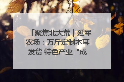 聚焦北大荒｜延军农场：万斤定制木耳发货 特色产业“成绩单”亮眼