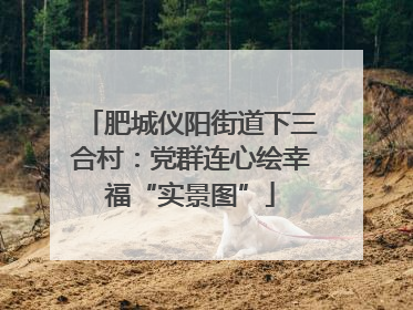 肥城仪阳街道下三合村：党群连心绘幸福“实景图”