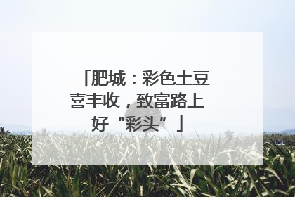 肥城：彩色土豆喜丰收，致富路上好“彩头”