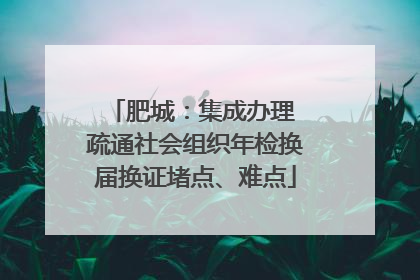 肥城：集成办理 疏通社会组织年检换届换证堵点、难点