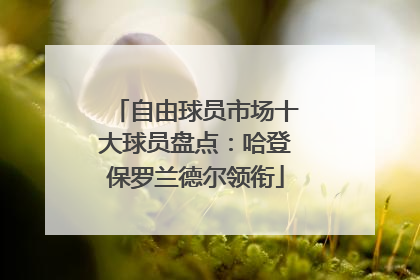 自由球员市场十大球员盘点：哈登保罗兰德尔领衔