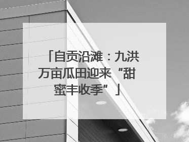 自贡沿滩：九洪万亩瓜田迎来“甜蜜丰收季”