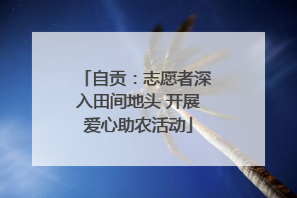 自贡：志愿者深入田间地头 开展爱心助农活动