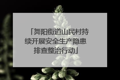 舞阳街道山民村持续开展安全生产隐患排查整治行动