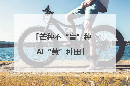 芒种不“盲”种 AI“慧”种田
