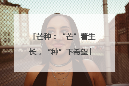 芒种：“芒”着生长，“种”下希望