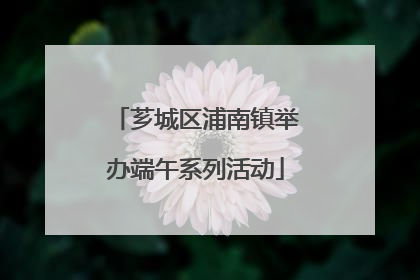 芗城区浦南镇举办端午系列活动
