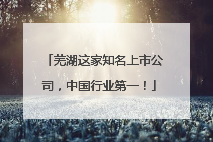 芜湖这家知名上市公司，中国行业第一！