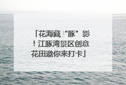花海藏“豚”影！江豚湾景区创意花田邀你来打卡