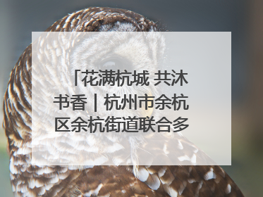 花满杭城 共沐书香｜杭州市余杭区余杭街道联合多方举办“书香换花香”活动