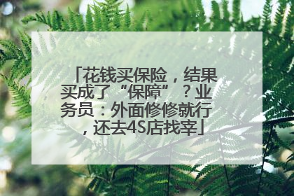 花钱买保险，结果买成了“保障”？业务员：外面修修就行，还去4S店找宰