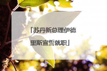 苏丹新总理伊德里斯宣誓就职