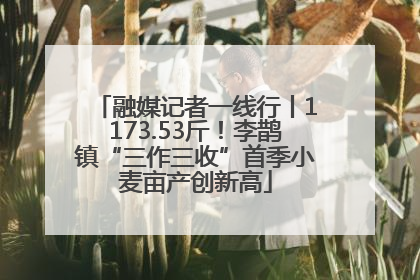 融媒记者一线行丨1173.53斤！李鹊镇“三作三收”首季小麦亩产创新高