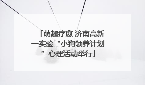 萌趣疗愈 济南高新一实验“小狗领养计划”心理活动举行