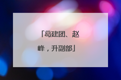 葛建团、赵峰，升副部