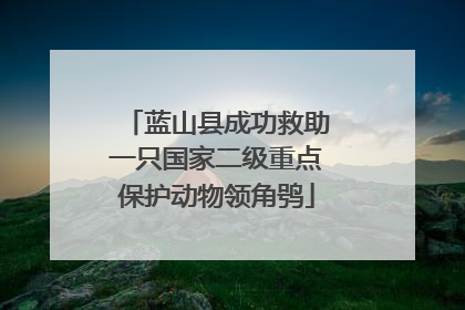 蓝山县成功救助一只国家二级重点保护动物领角鸮