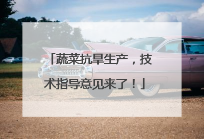蔬菜抗旱生产，技术指导意见来了！