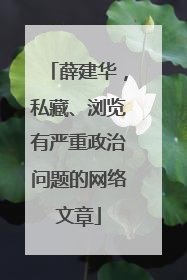 薛建华，私藏、浏览有严重政治问题的网络文章