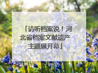 请听档案说！河北省档案文献遗产主题展开幕