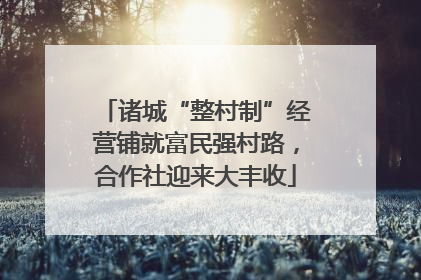 诸城“整村制”经营铺就富民强村路，合作社迎来大丰收