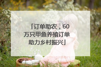 订单助农，60万只甲鱼养殖订单助力乡村振兴