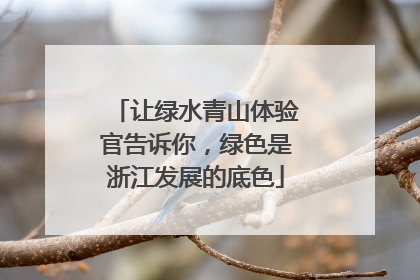 让绿水青山体验官告诉你，绿色是浙江发展的底色