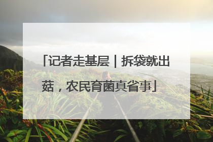 记者走基层｜拆袋就出菇，农民育菌真省事