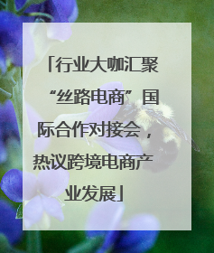 行业大咖汇聚“丝路电商”国际合作对接会，热议跨境电商产业发展