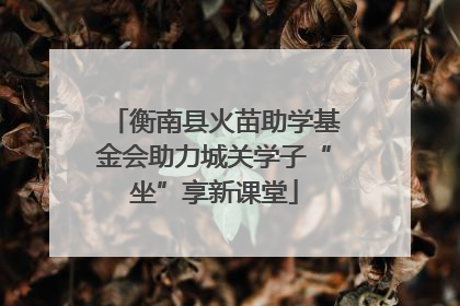 衡南县火苗助学基金会助力城关学子“坐”享新课堂