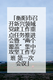 衡阳市召开新兴领域党建工作重点任务推进会暨“两个覆盖”集中攻坚工作专班 第一次会议