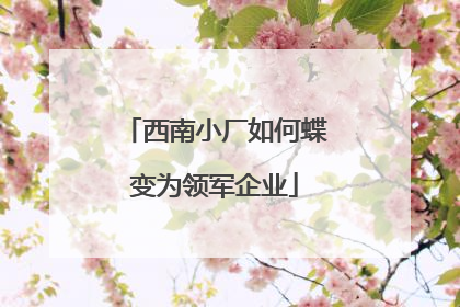 西南小厂如何蝶变为领军企业