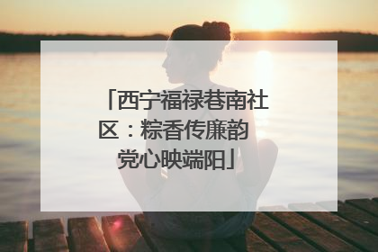 西宁福禄巷南社区：粽香传廉韵 党心映端阳