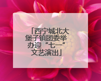 西宁城北大堡子镇团委举办迎“七一”文艺演出