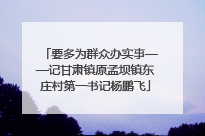 要多为群众办实事——记甘肃镇原孟坝镇东庄村第一书记杨鹏飞