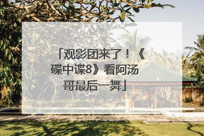 观影团来了！《碟中谍8》看阿汤哥最后一舞