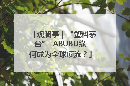 观澜亭｜“塑料茅台”LABUBU缘何成为全球顶流？