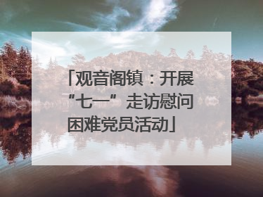 观音阁镇：开展“七一”走访慰问困难党员活动