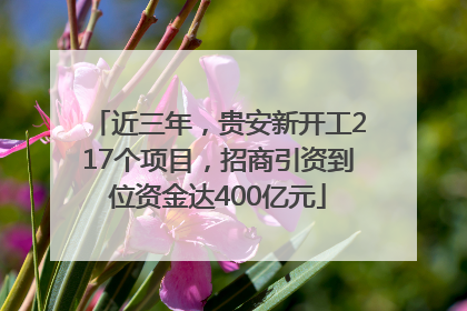 近三年，贵安新开工217个项目，招商引资到位资金达400亿元