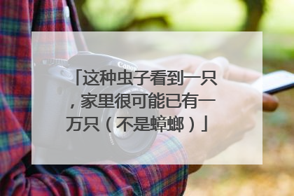 这种虫子看到一只，家里很可能已有一万只（不是蟑螂）