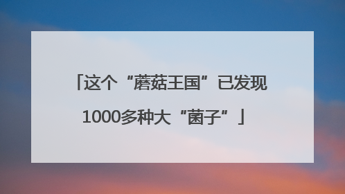 这个“蘑菇王国”已发现1000多种大“菌子”
