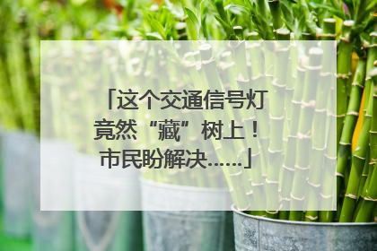 这个交通信号灯竟然“藏”树上！市民盼解决……