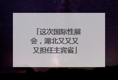 这次国际性展会，湖北又又又又担任主宾省