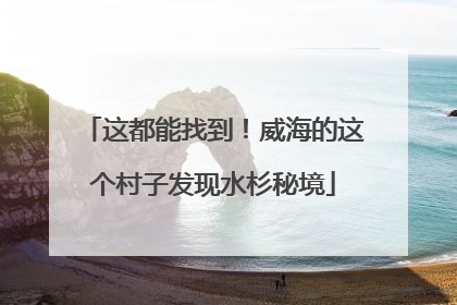这都能找到！威海的这个村子发现水杉秘境