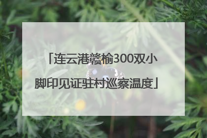 连云港赣榆300双小脚印见证驻村巡察温度
