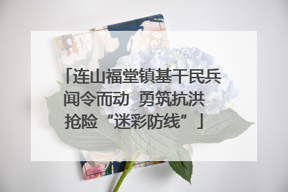 连山福堂镇基干民兵闻令而动  勇筑抗洪抢险“迷彩防线”