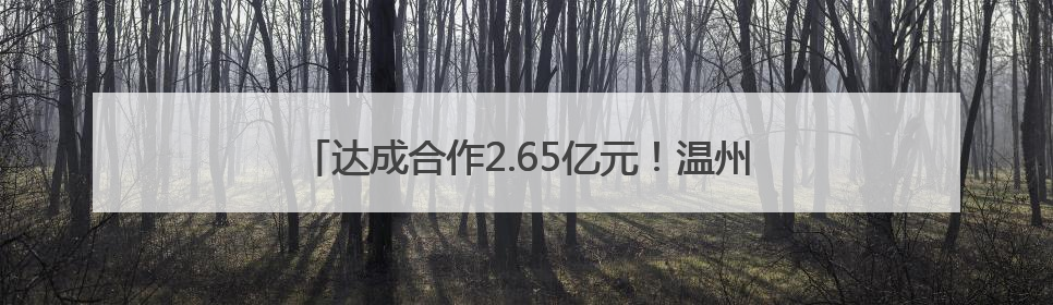 达成合作2.65亿元！温州汽车零部件产业“链接”上海