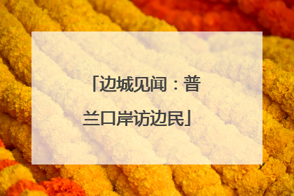 边城见闻：普兰口岸访边民